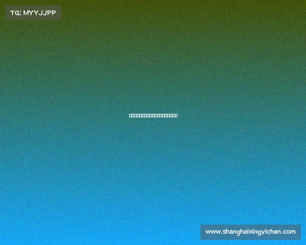 塞内加尔球队赛事、塞内加尔队最新大名单